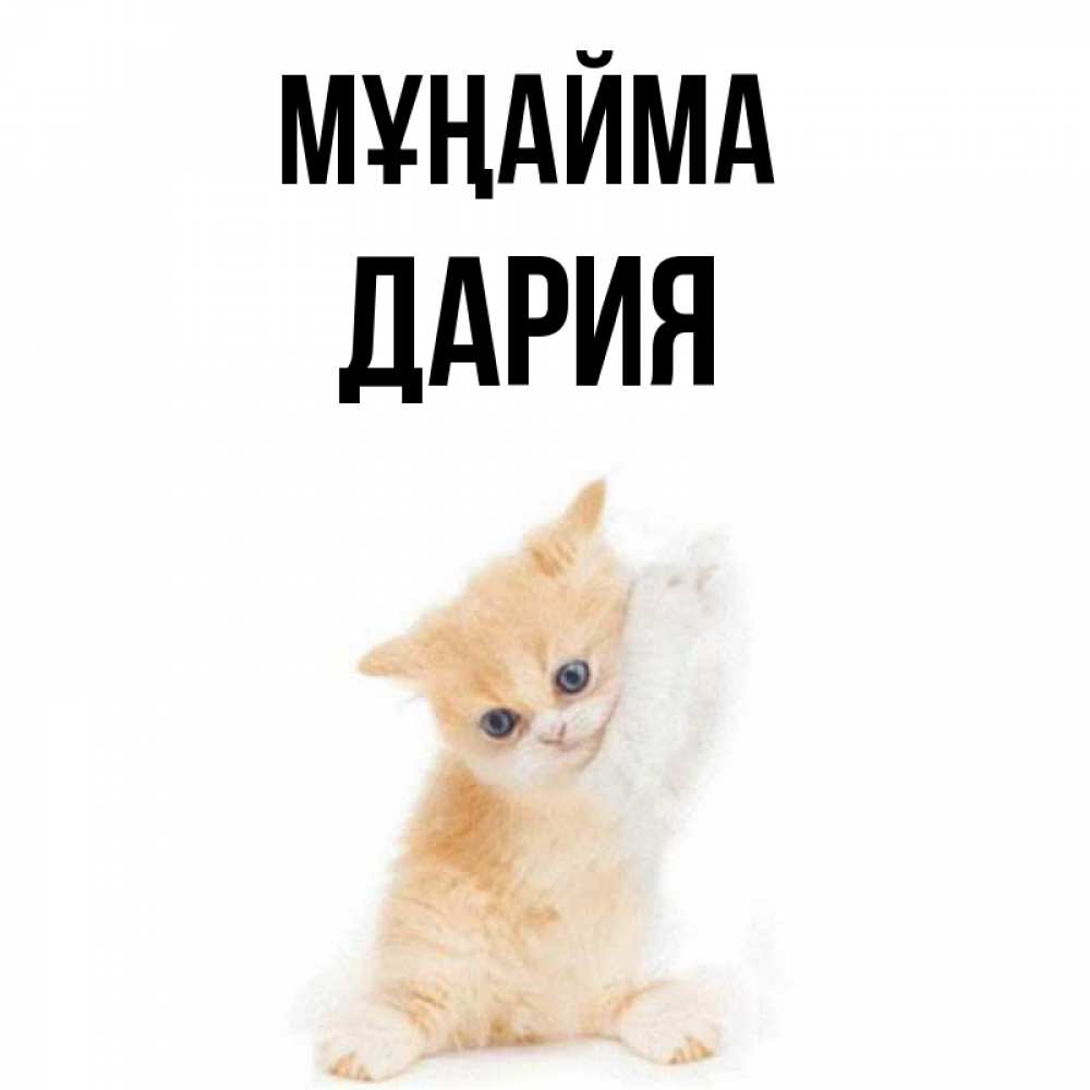 Күн сайын ашық хат с именем, ДАРИЯ Мұңайма просящий кот Онлайн тегін жүктеп алу тілектері бар керемет карта 