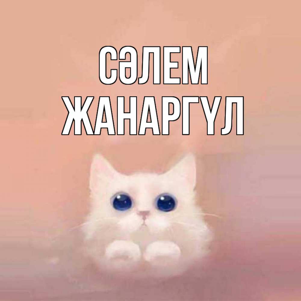 Күн сайын ашық хат с именем, ЖАНАРГҮЛ Сәлем котик белый в полете Онлайн тегін жүктеп алу тілектері бар керемет карта 