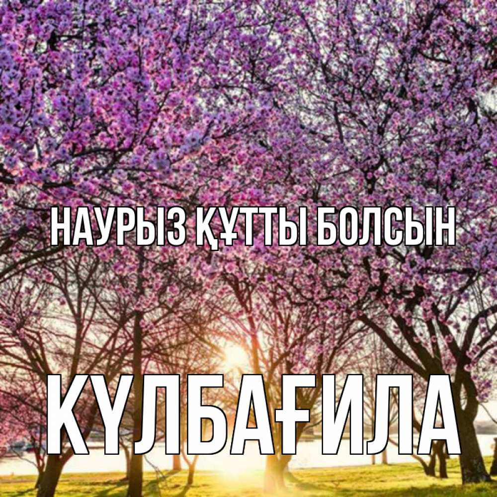 Күн сайын ашық хат с именем, КҮЛБАҒИЛА Наурыз құтты болсын наурыз Онлайн тегін жүктеп алу тілектері бар керемет карта 