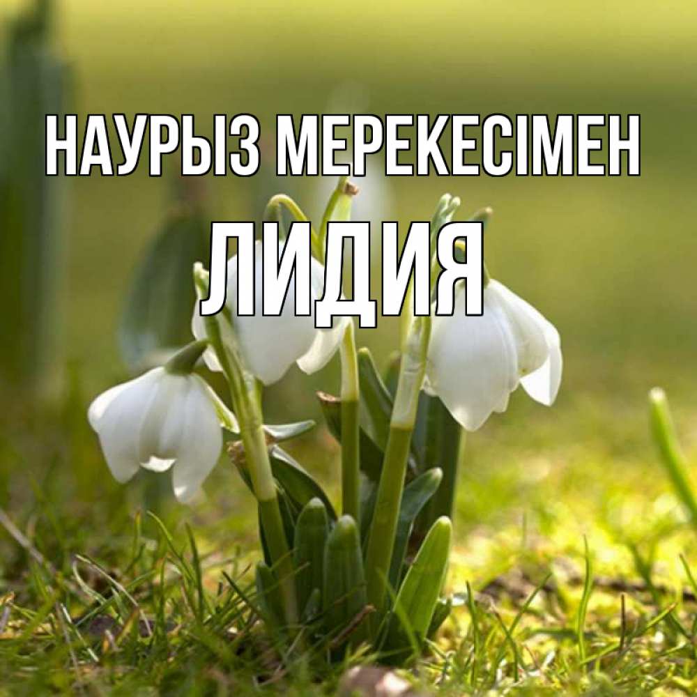 Күн сайын ашық хат с именем, Лидия Наурыз мерекесімен ранние цветы 2 Онлайн тегін жүктеп алу тілектері бар керемет карта 
