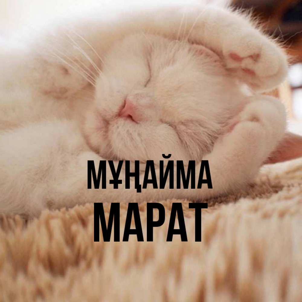 Күн сайын ашық хат с именем, МАРАТ Мұңайма Котенок спит Онлайн тегін жүктеп алу тілектері бар керемет карта 