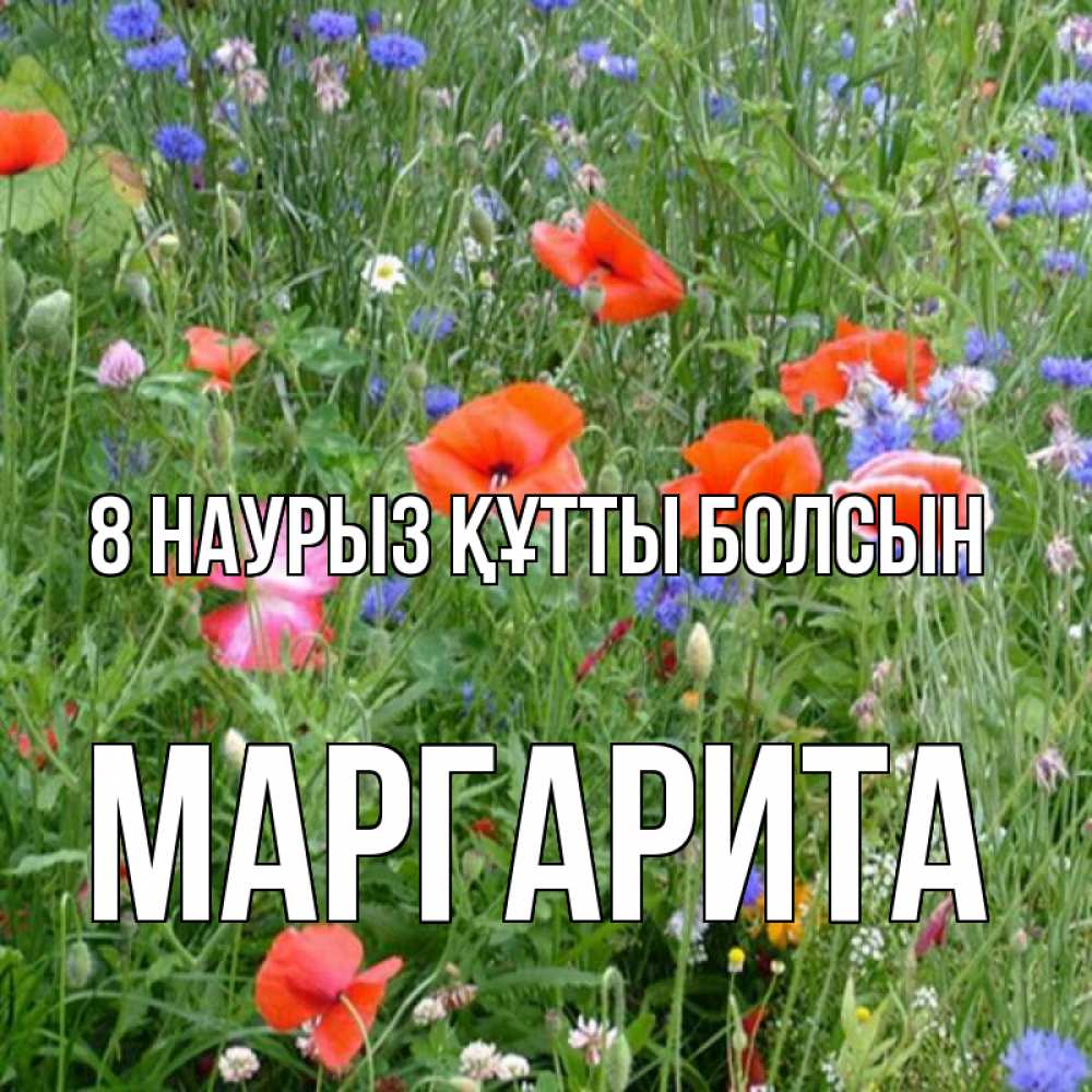 Күн сайын ашық хат с именем, Маргарита 8 наурыз құтты болсын международный женский день 4 Онлайн тегін жүктеп алу тілектері бар керемет карта 