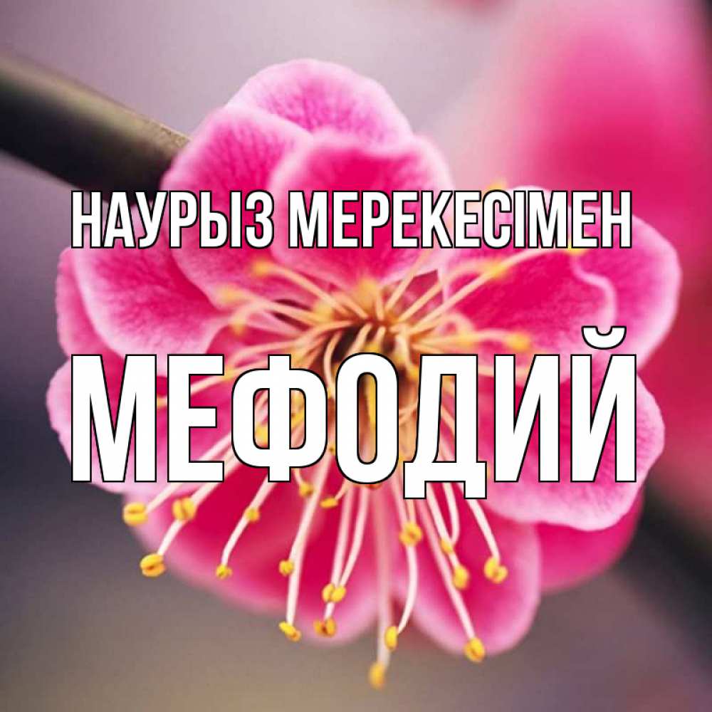Күн сайын ашық хат с именем, Мефодий Наурыз мерекесімен цветы Онлайн тегін жүктеп алу тілектері бар керемет карта 