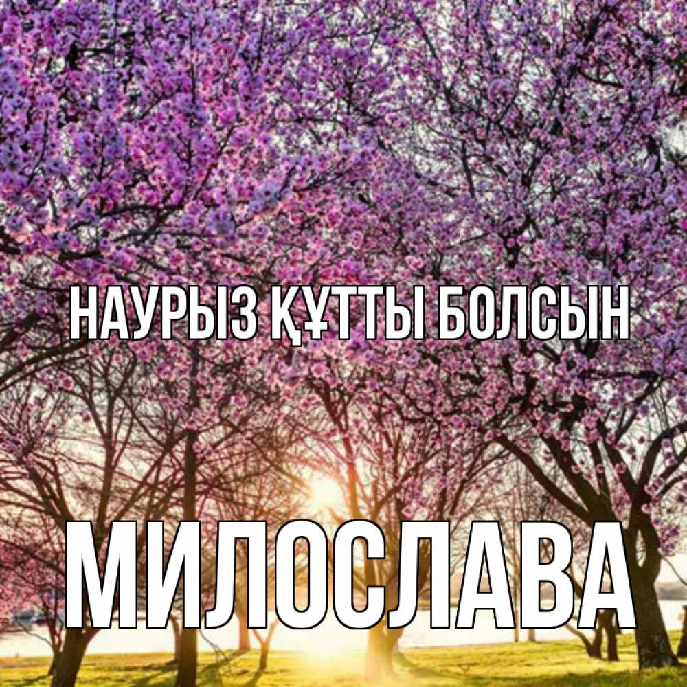 Күн сайын ашық хат с именем, Милослава Наурыз құтты болсын наурыз Онлайн тегін жүктеп алу тілектері бар керемет карта 