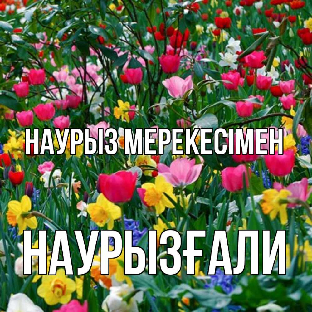 Күн сайын ашық хат с именем, Наурызғали Наурыз мерекесімен с наурызом праздником весны поздравления для женщины Онлайн тегін жүктеп алу тілектері бар керемет карта 