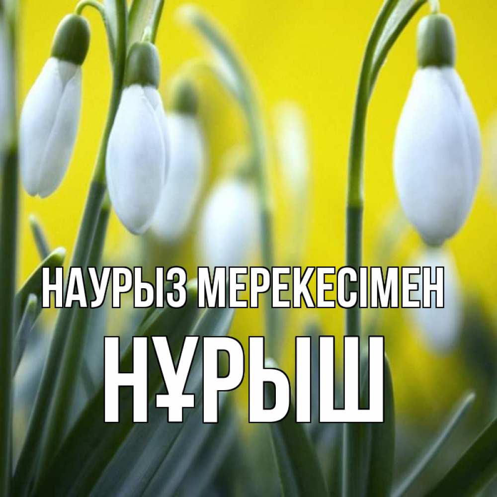 Күн сайын ашық хат с именем, Нұрыш Наурыз мерекесімен весенние цветы Онлайн тегін жүктеп алу тілектері бар керемет карта 