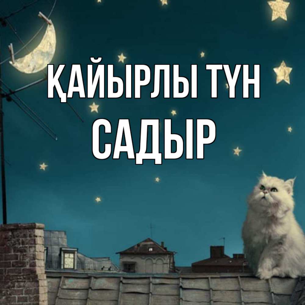 Күн сайын ашық хат с именем, САДЫР Қайырлы түн белый кот сидит на крыше Онлайн тегін жүктеп алу тілектері бар керемет карта 