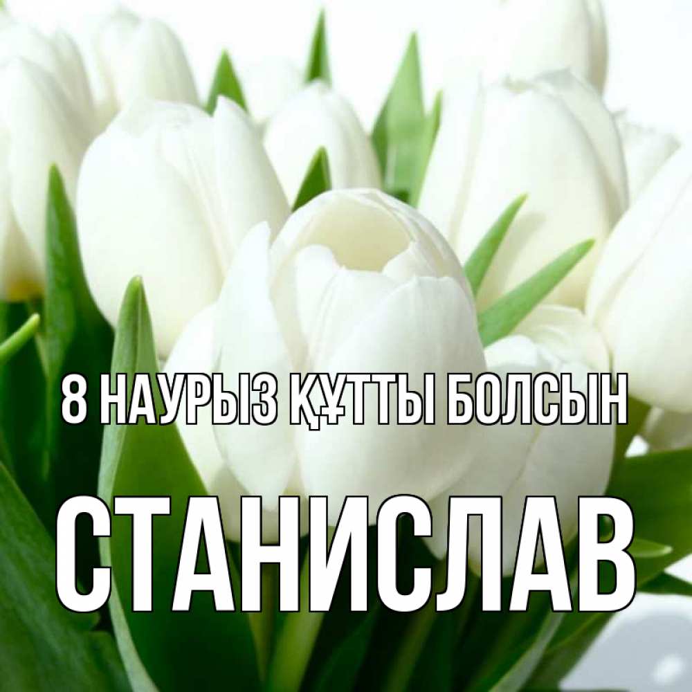 Күн сайын ашық хат с именем, Станислав 8 наурыз құтты болсын цветы Онлайн тегін жүктеп алу тілектері бар керемет карта 