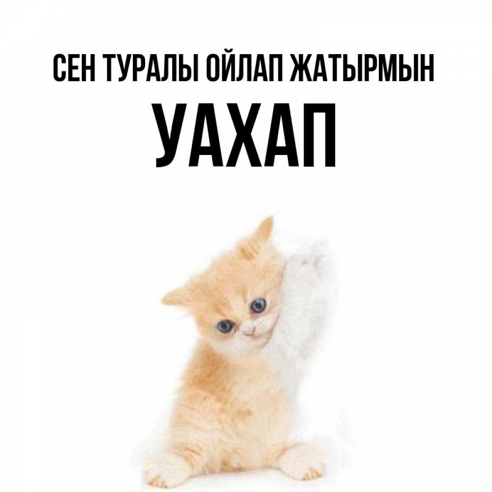 Күн сайын ашық хат с именем, УАХАП Сен туралы ойлап жатырмын зверушки и милота Онлайн тегін жүктеп алу тілектері бар керемет карта 
