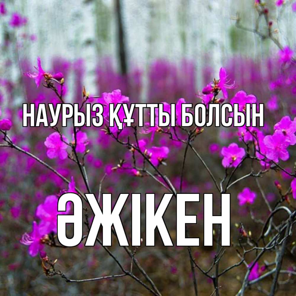 Күн сайын ашық хат с именем, Әжікен Наурыз құтты болсын дикие цветы Онлайн тегін жүктеп алу тілектері бар керемет карта 