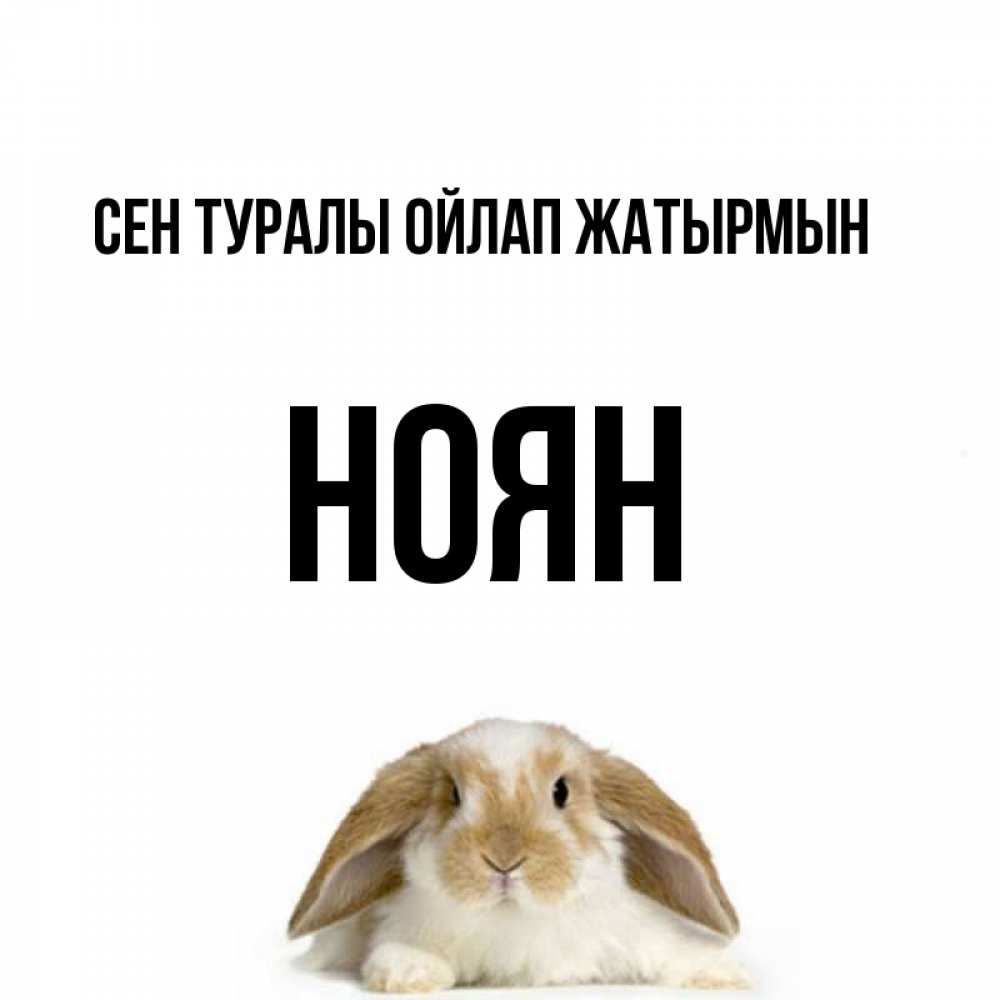 Күн сайын ашық хат с именем, НОЯН Сен туралы ойлап жатырмын подписать своими руками онлайн Онлайн тегін жүктеп алу тілектері бар керемет карта 