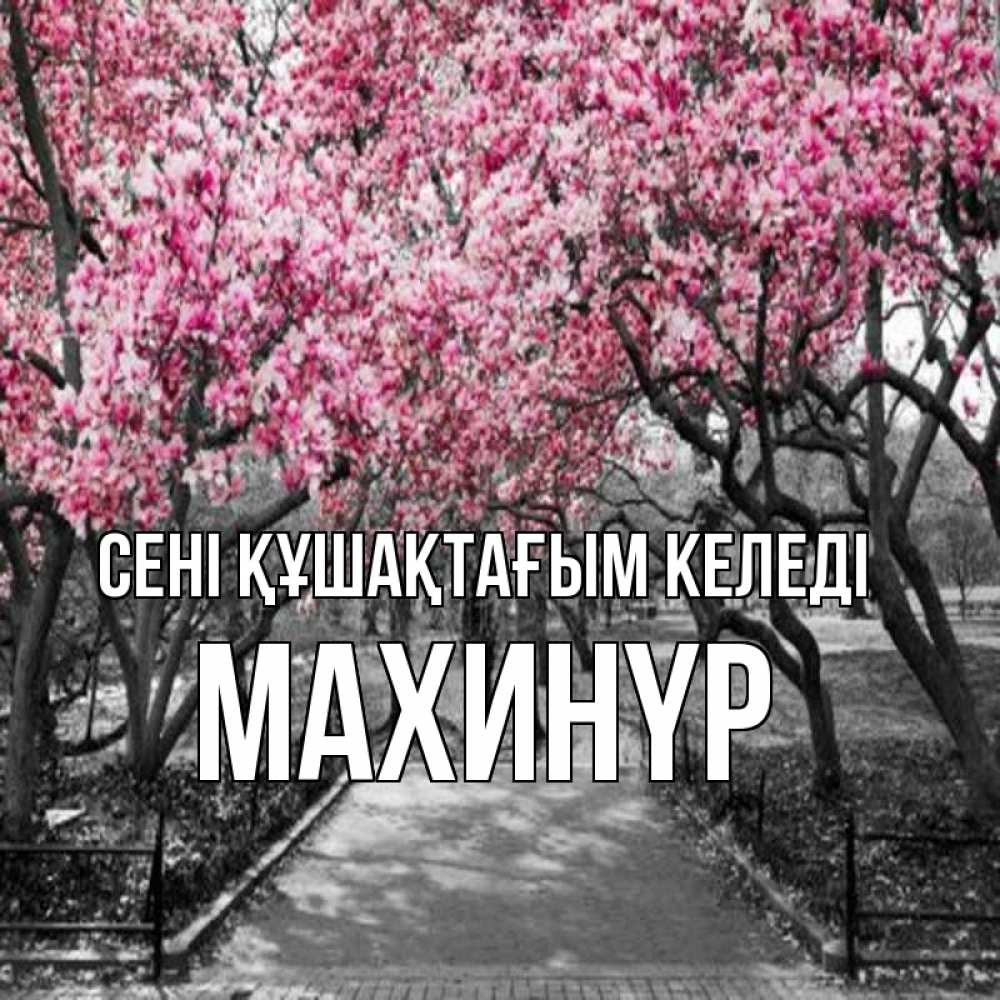 Күн сайын ашық хат с именем, МАХИНҮР сені құшақтағым келеді обработанное фото Онлайн тегін жүктеп алу тілектері бар керемет карта 