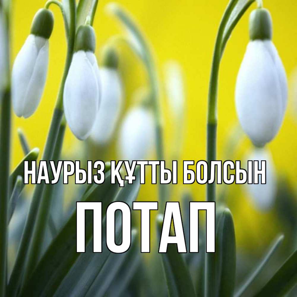 Күн сайын ашық хат с именем, Потап Наурыз құтты болсын весенние цветы Онлайн тегін жүктеп алу тілектері бар керемет карта 