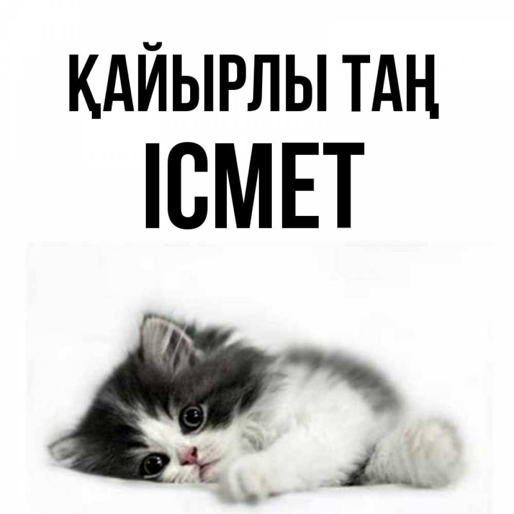 Күн сайын ашық хат с именем, ІСМЕТ Қайырлы таң кот лапки Онлайн тегін жүктеп алу тілектері бар керемет карта 