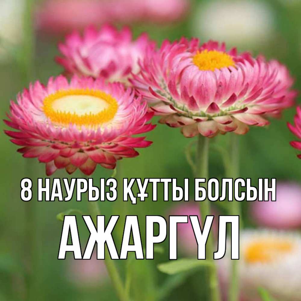 Күн сайын ашық хат с именем, АЖАРГҮЛ 8 наурыз құтты болсын подарок на международный женский день Онлайн тегін жүктеп алу тілектері бар керемет карта 