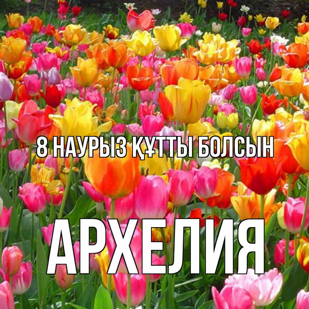 Күн сайын ашық хат с именем, Архелия 8 наурыз құтты болсын на международный женский день Онлайн тегін жүктеп алу тілектері бар керемет карта 