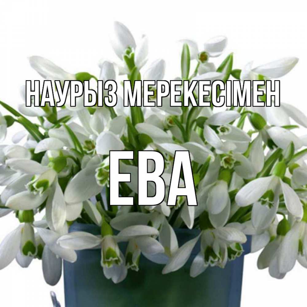 Күн сайын ашық хат с именем, Ева Наурыз мерекесімен цветы к наурызу новый год в Казахстане Онлайн тегін жүктеп алу тілектері бар керемет карта 