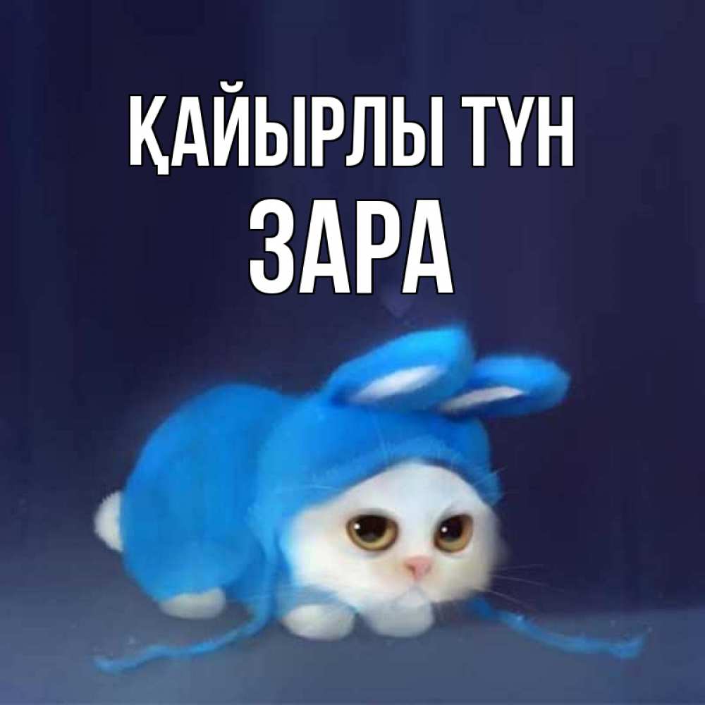 Күн сайын ашық хат с именем, ЗАРА Қайырлы түн кот в голубом костюме кролика с ушками Онлайн тегін жүктеп алу тілектері бар керемет карта 