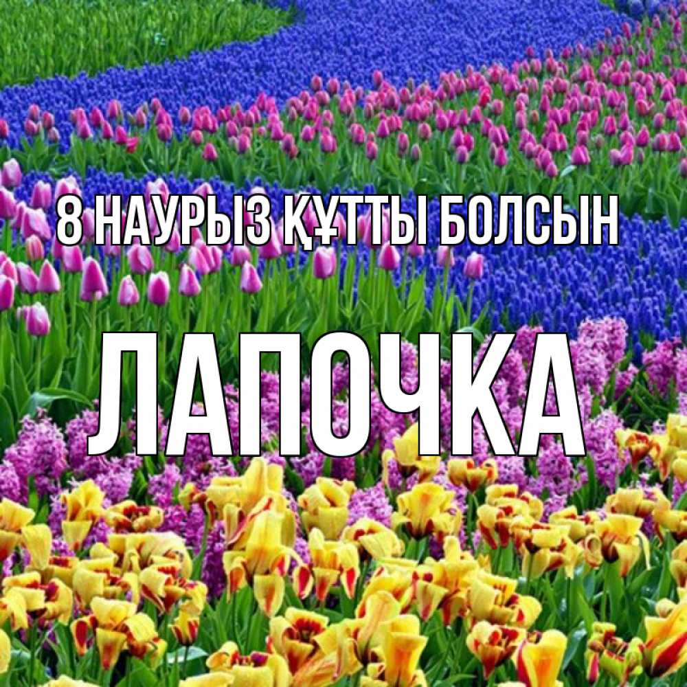 Күн сайын ашық хат с именем, Лапочка 8 наурыз құтты болсын цветы Онлайн тегін жүктеп алу тілектері бар керемет карта 