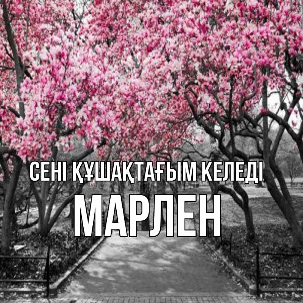 Күн сайын ашық хат с именем, МАРЛЕН сені құшақтағым келеді обработанное фото Онлайн тегін жүктеп алу тілектері бар керемет карта 