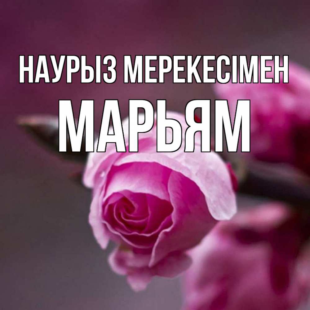 Күн сайын ашық хат с именем, Марьям Наурыз мерекесімен весна Онлайн тегін жүктеп алу тілектері бар керемет карта 
