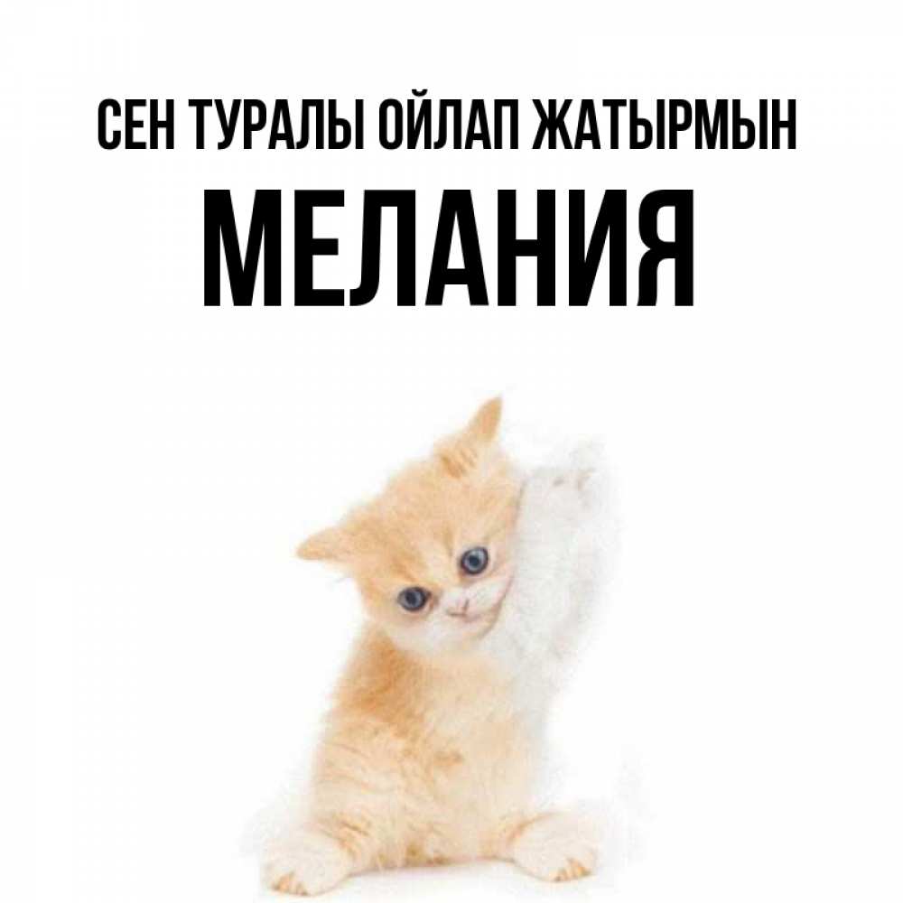 Күн сайын ашық хат с именем, Мелания Сен туралы ойлап жатырмын зверушки и милота Онлайн тегін жүктеп алу тілектері бар керемет карта 