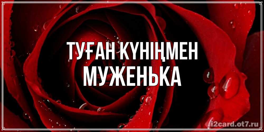 Күн сайын ашық хат с именем, Муженька Туған күніңмен крупная бордовая роза Онлайн тегін жүктеп алу тілектері бар керемет карта 
