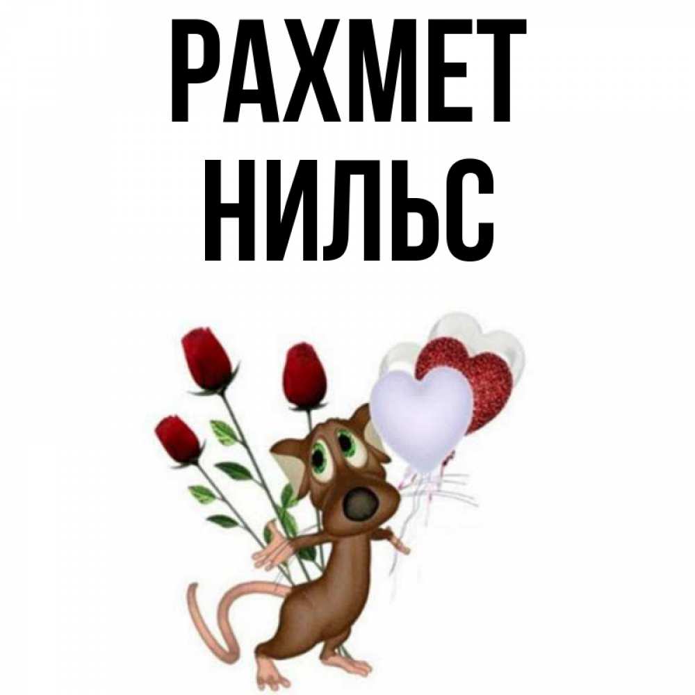 Күн сайын ашық хат с именем, Нильс рахмет песик с шариками в форме сердец Онлайн тегін жүктеп алу тілектері бар керемет карта 