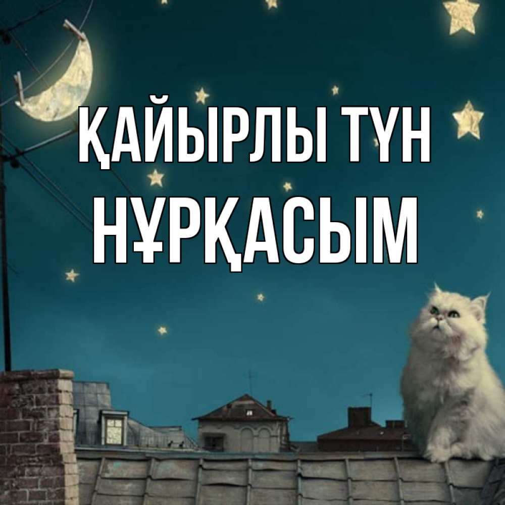 Күн сайын ашық хат с именем, НҰРҚАСЫМ Қайырлы түн белый кот сидит на крыше Онлайн тегін жүктеп алу тілектері бар керемет карта 