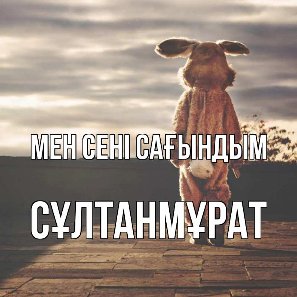 Күн сайын ашық хат с именем, СҰЛТАНМҰРАТ Мен сені сағындым даже в костюме зайца Онлайн тегін жүктеп алу тілектері бар керемет карта 