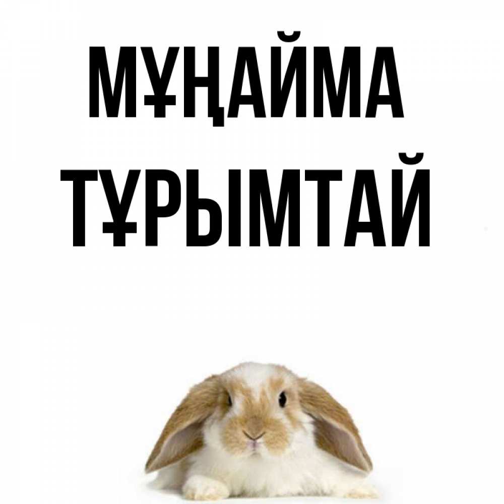 Күн сайын ашық хат с именем, ТҰРЫМТАЙ Мұңайма коричнево белый заяц с большими ушками Онлайн тегін жүктеп алу тілектері бар керемет карта 