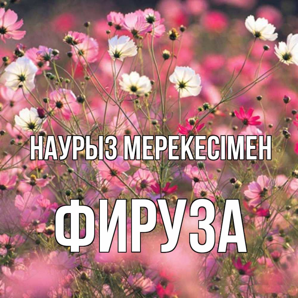 Күн сайын ашық хат с именем, ФИРУЗА Наурыз мерекесімен красиво 1 Онлайн тегін жүктеп алу тілектері бар керемет карта 