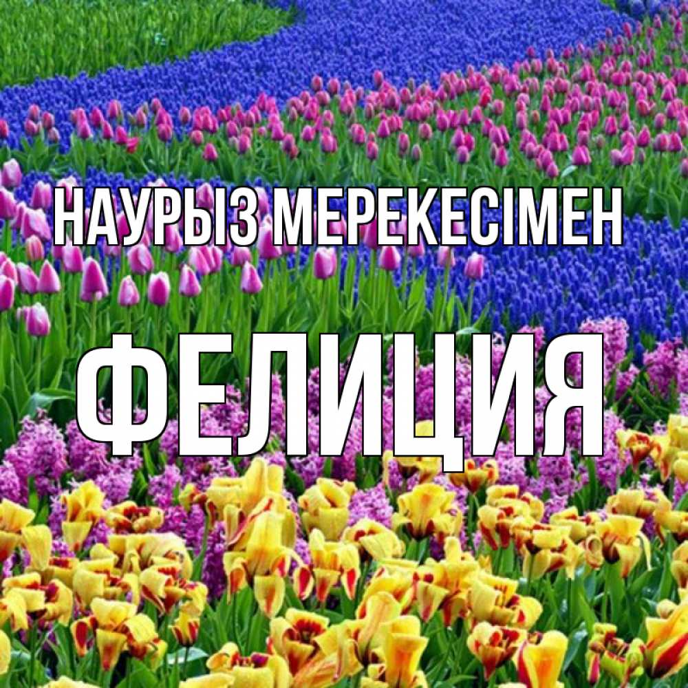 Күн сайын ашық хат с именем, Фелиция Наурыз мерекесімен цветы Онлайн тегін жүктеп алу тілектері бар керемет карта 