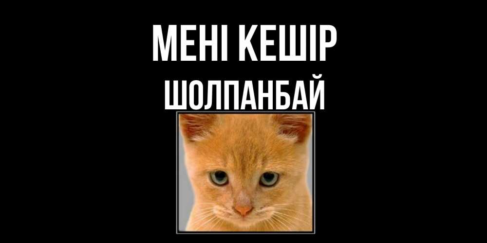 Күн сайын ашық хат с именем, ШОЛПАНБАЙ Мені кешір рыжий грустный кот просит прощения Онлайн тегін жүктеп алу тілектері бар керемет карта 