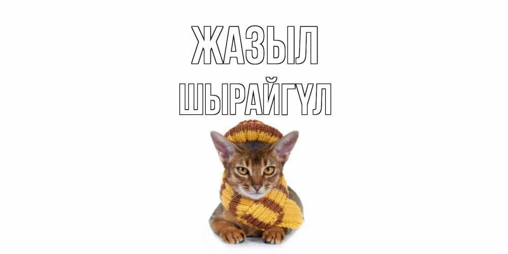 Күн сайын ашық хат с именем, ШЫРАЙГҮЛ Жазыл родные не болейте Онлайн тегін жүктеп алу тілектері бар керемет карта 
