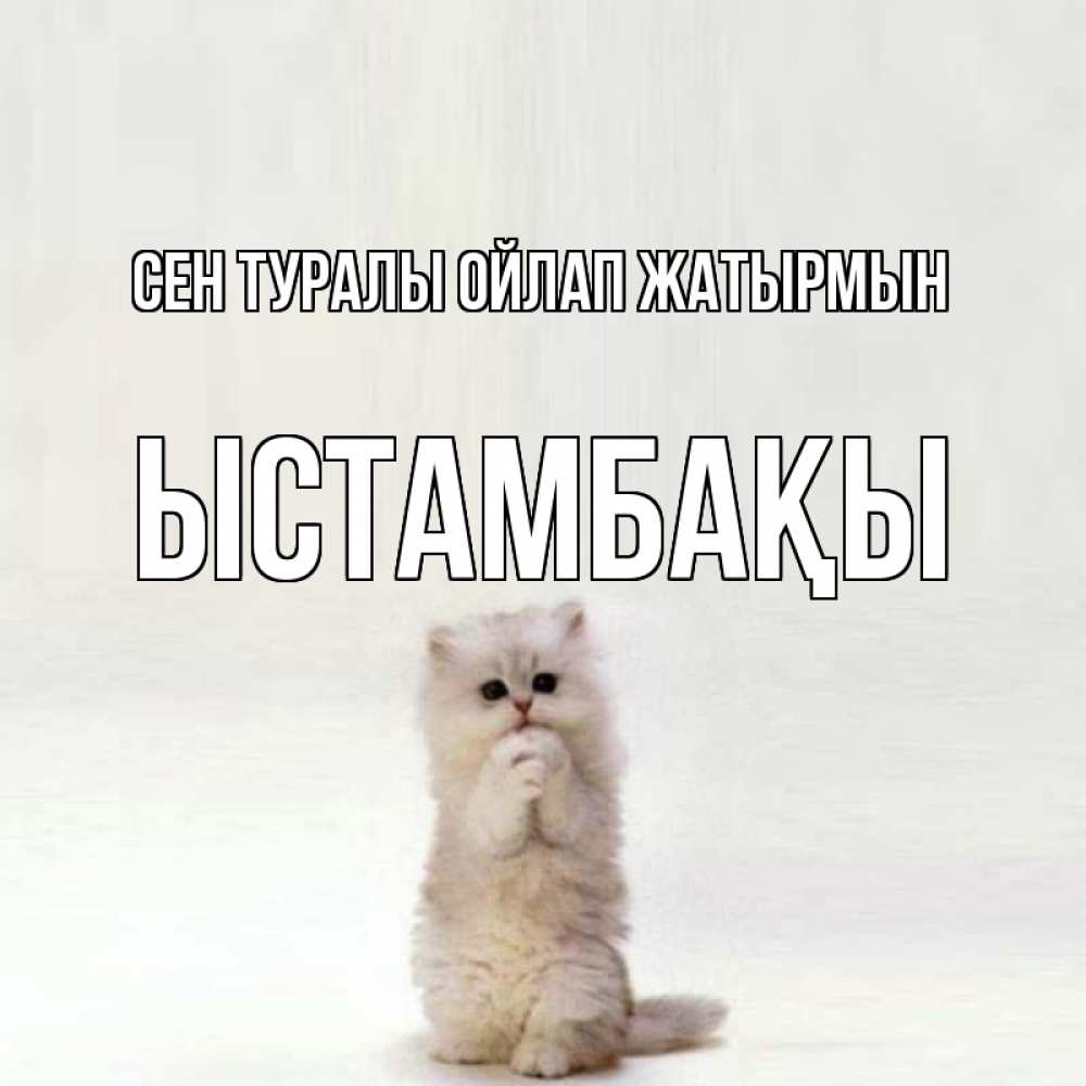 Күн сайын ашық хат с именем, ЫСТАМБАҚЫ Сен туралы ойлап жатырмын кот стоит на задних лапах Онлайн тегін жүктеп алу тілектері бар керемет карта 