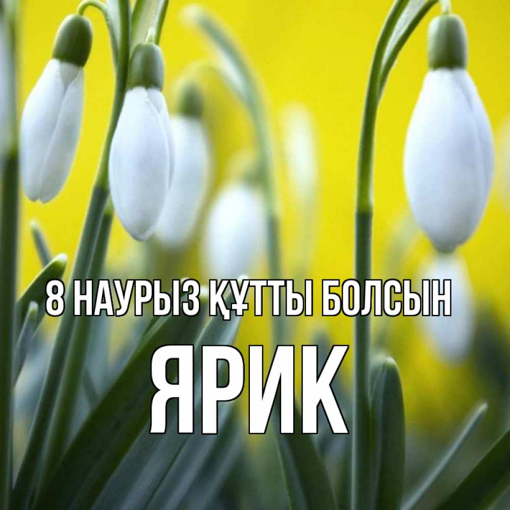 Күн сайын ашық хат с именем, Ярик 8 наурыз құтты болсын весенние цветы Онлайн тегін жүктеп алу тілектері бар керемет карта 