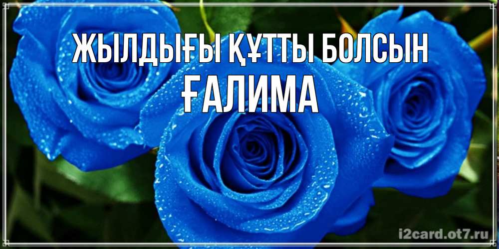Күн сайын ашық хат с именем, ҒАЛИМА Жылдығы құтты болсын розы с синим цветом Онлайн тегін жүктеп алу тілектері бар керемет карта 