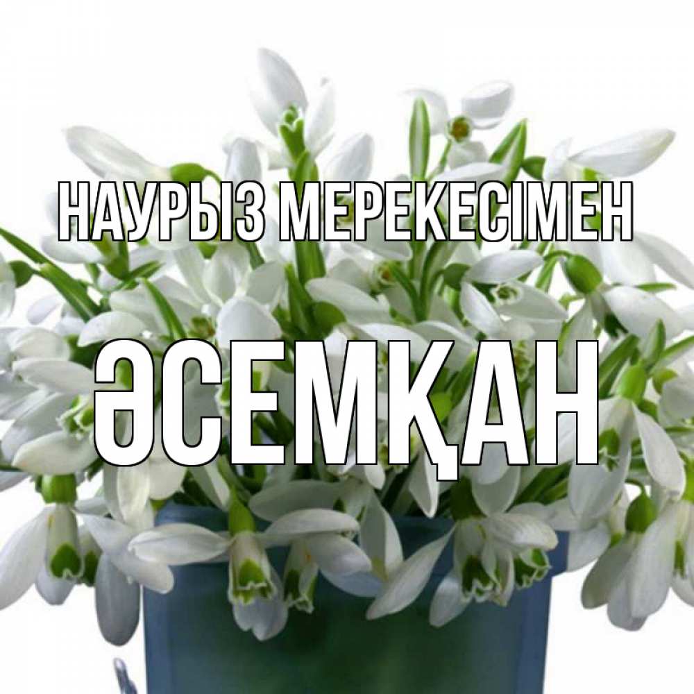 Күн сайын ашық хат с именем, ӘСЕМҚАН Наурыз мерекесімен цветы к наурызу новый год в Казахстане Онлайн тегін жүктеп алу тілектері бар керемет карта 