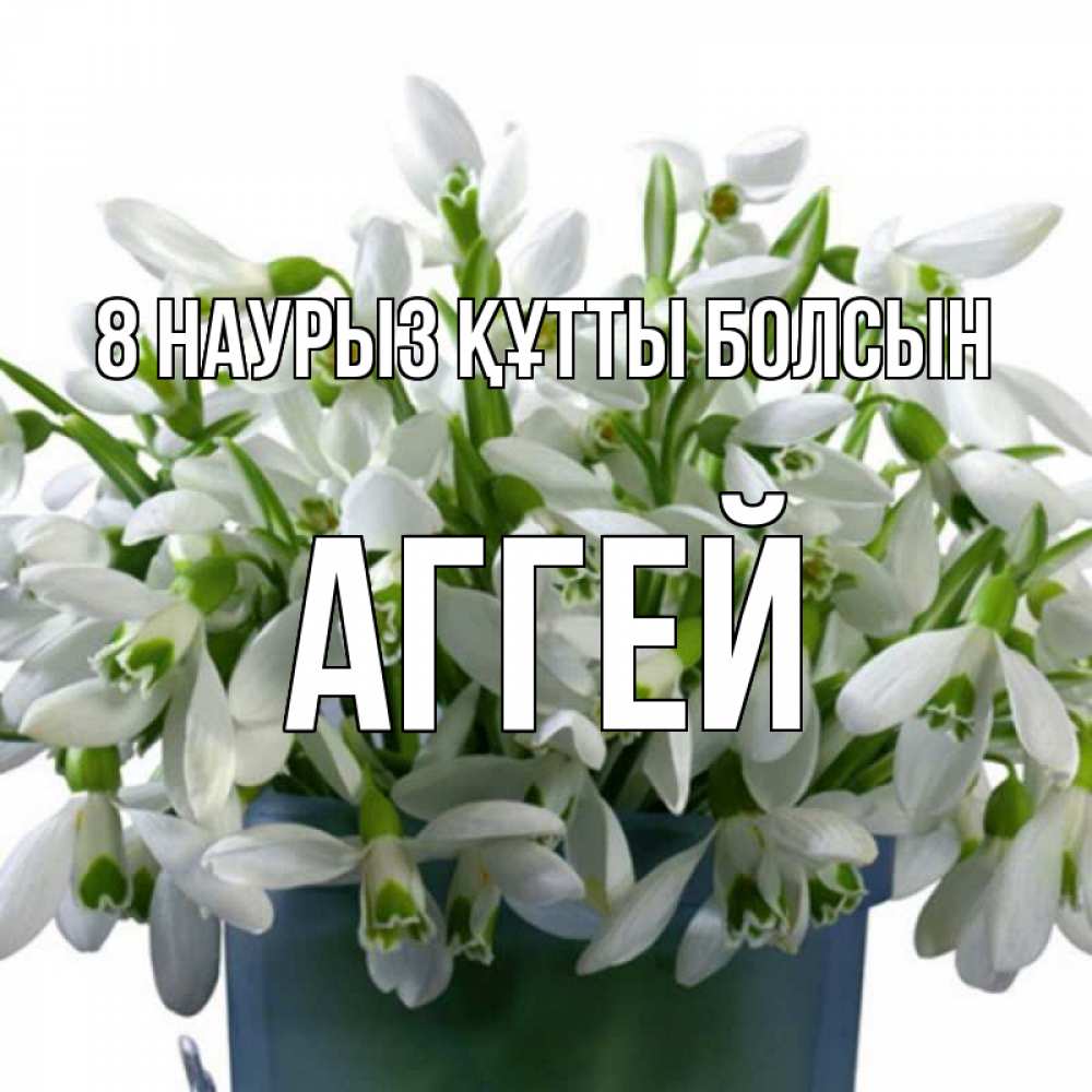 Күн сайын ашық хат с именем, Аггей 8 наурыз құтты болсын цветы к международному женскому дню Онлайн тегін жүктеп алу тілектері бар керемет карта 