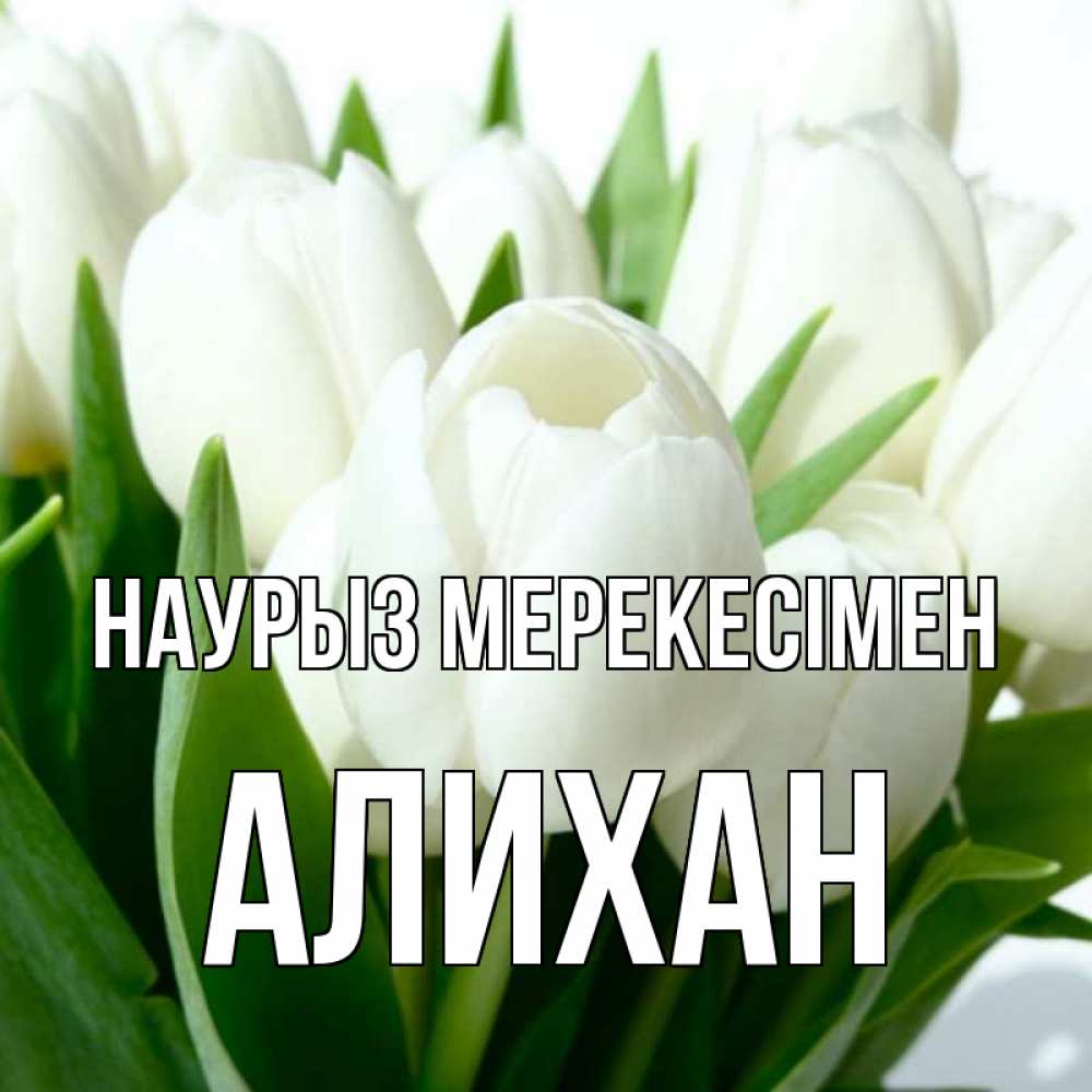 Күн сайын ашық хат с именем, Алихан Наурыз мерекесімен цветы Онлайн тегін жүктеп алу тілектері бар керемет карта 