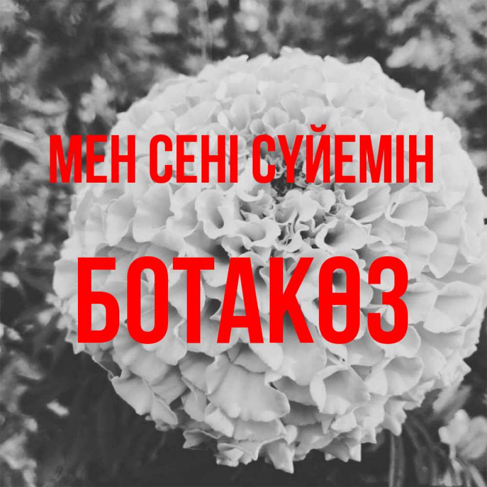 Күн сайын ашық хат с именем, БОТАКӨЗ Мен сені сүйемін подпись Онлайн тегін жүктеп алу тілектері бар керемет карта 