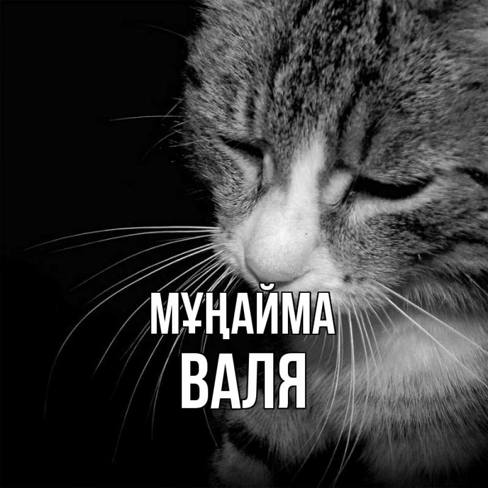 Күн сайын ашық хат с именем, Валя Мұңайма грустный котик Онлайн тегін жүктеп алу тілектері бар керемет карта 