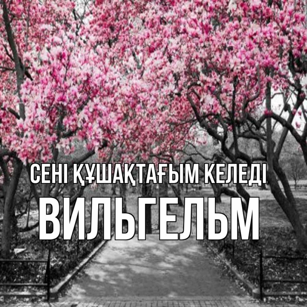 Күн сайын ашық хат с именем, Вильгельм сені құшақтағым келеді обработанное фото Онлайн тегін жүктеп алу тілектері бар керемет карта 