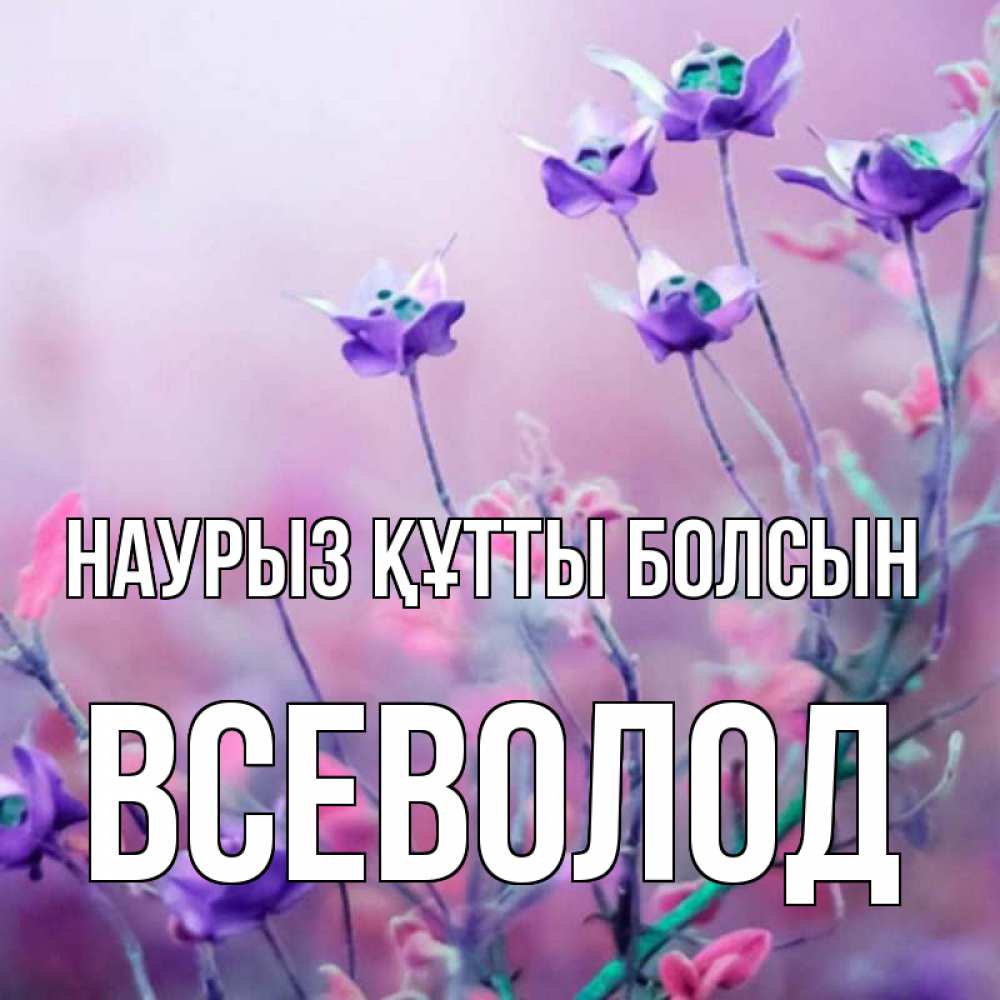 Күн сайын ашық хат с именем, Всеволод Наурыз құтты болсын наурыз  2 Онлайн тегін жүктеп алу тілектері бар керемет карта 
