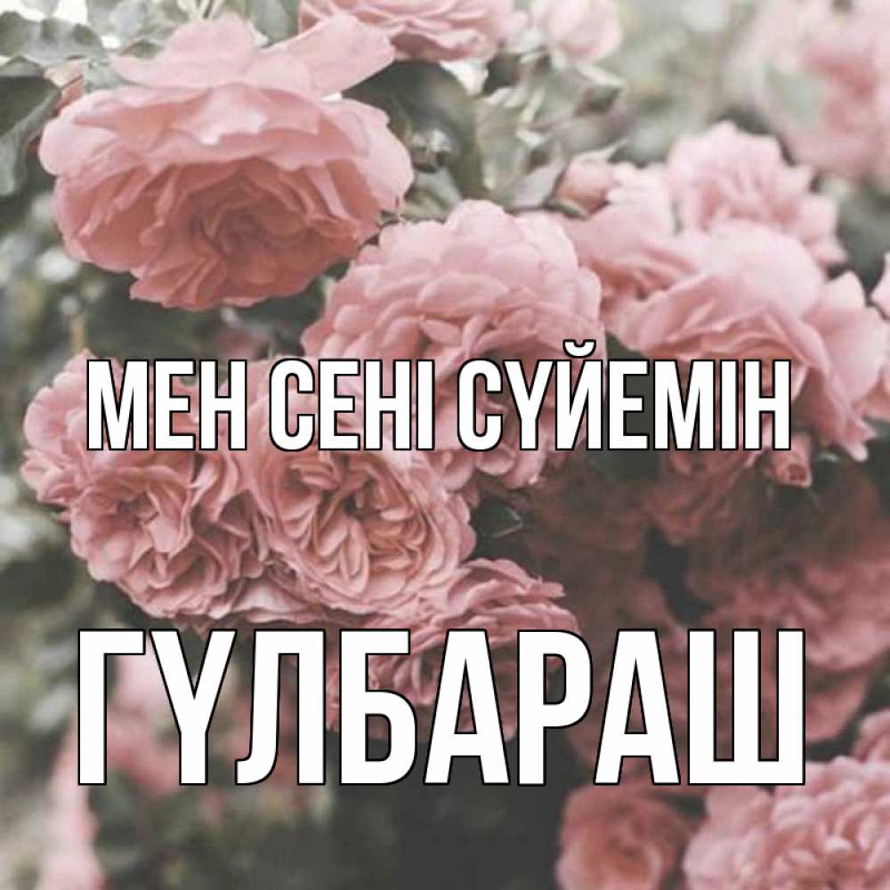 Күн сайын ашық хат с именем, ГҮЛБАРАШ Мен сені сүйемін розы 3 Онлайн тегін жүктеп алу тілектері бар керемет карта 