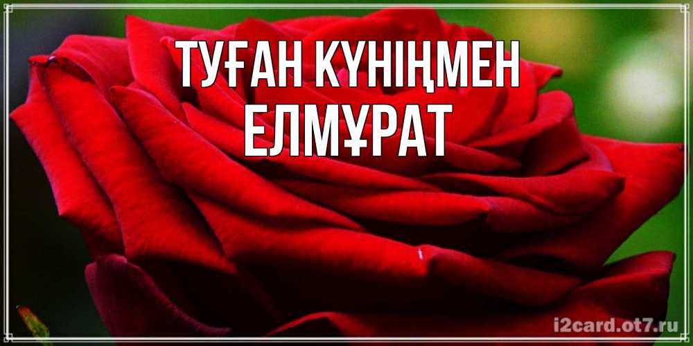 Күн сайын ашық хат с именем, Елмұрат Туған күніңмен розочка очень красивая Онлайн тегін жүктеп алу тілектері бар керемет карта 