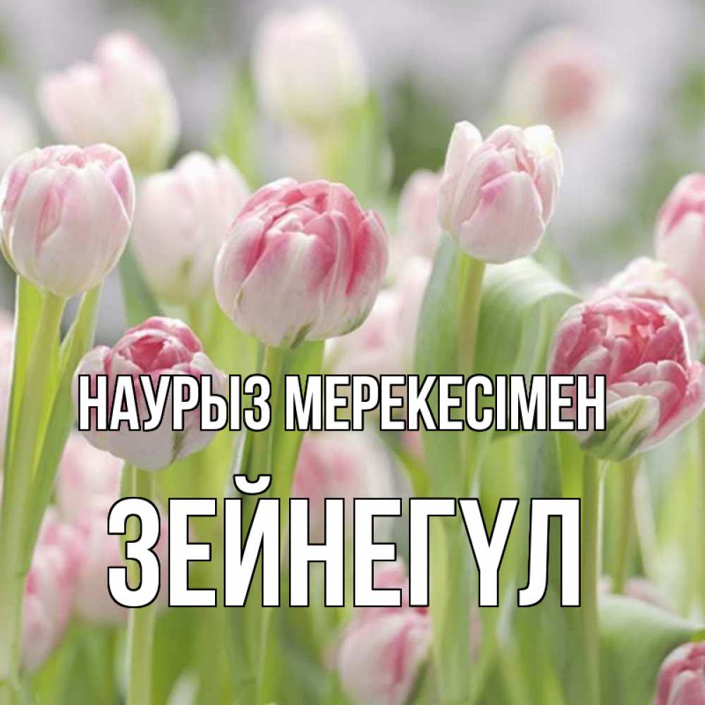 Күн сайын ашық хат с именем, ЗЕЙНЕГҮЛ Наурыз мерекесімен цветы Онлайн тегін жүктеп алу тілектері бар керемет карта 