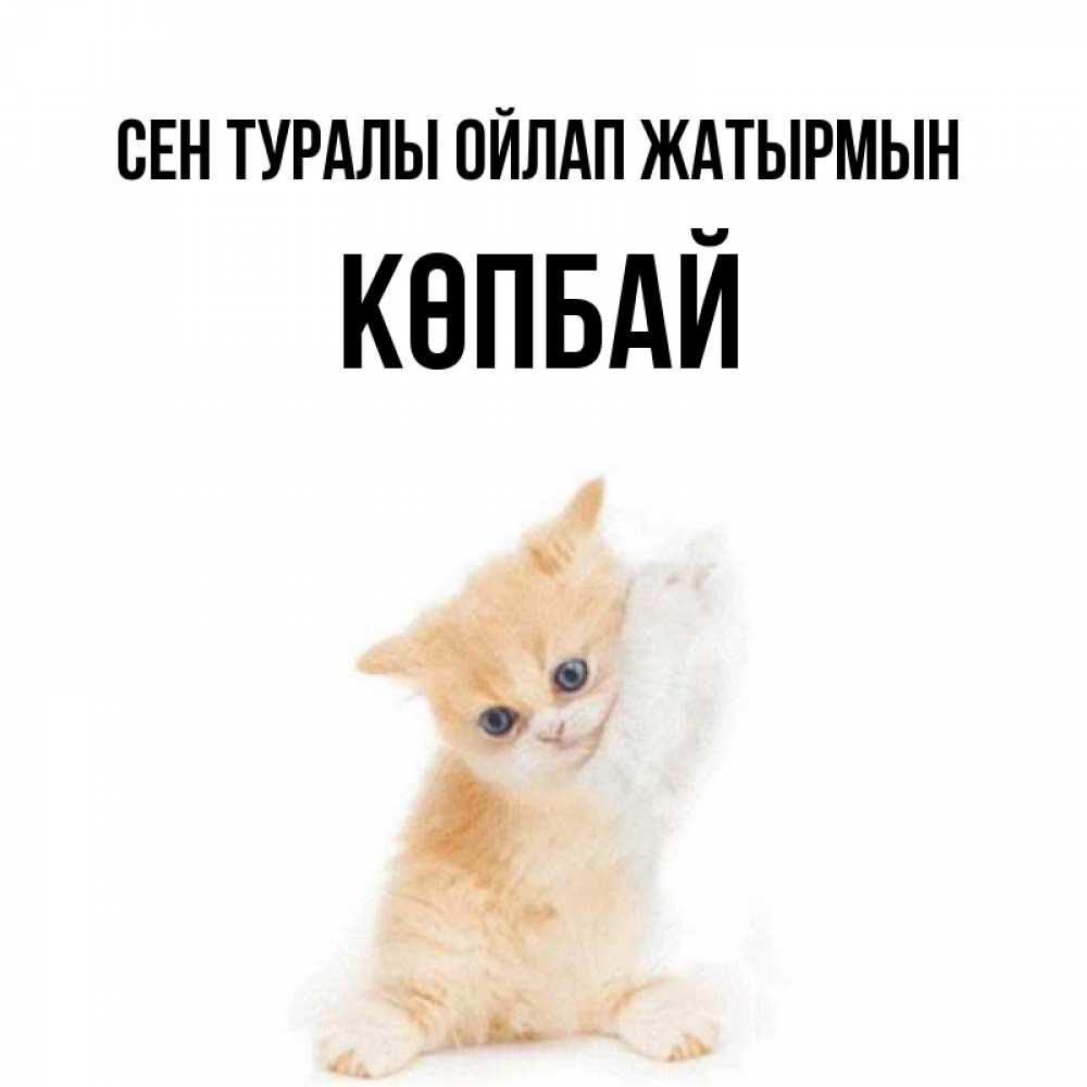 Күн сайын ашық хат с именем, Көпбай Сен туралы ойлап жатырмын зверушки и милота Онлайн тегін жүктеп алу тілектері бар керемет карта 