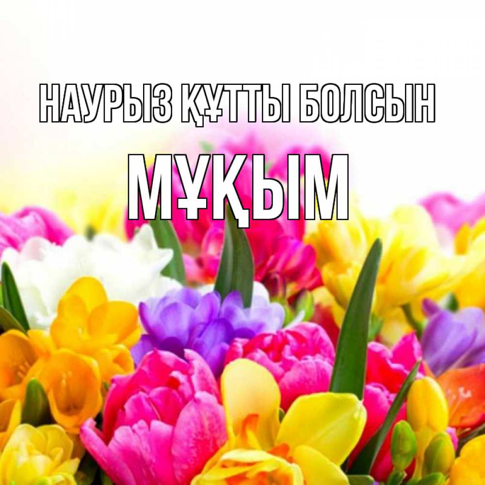 Күн сайын ашық хат с именем, МҰҚЫМ Наурыз құтты болсын тюльпаны Онлайн тегін жүктеп алу тілектері бар керемет карта 